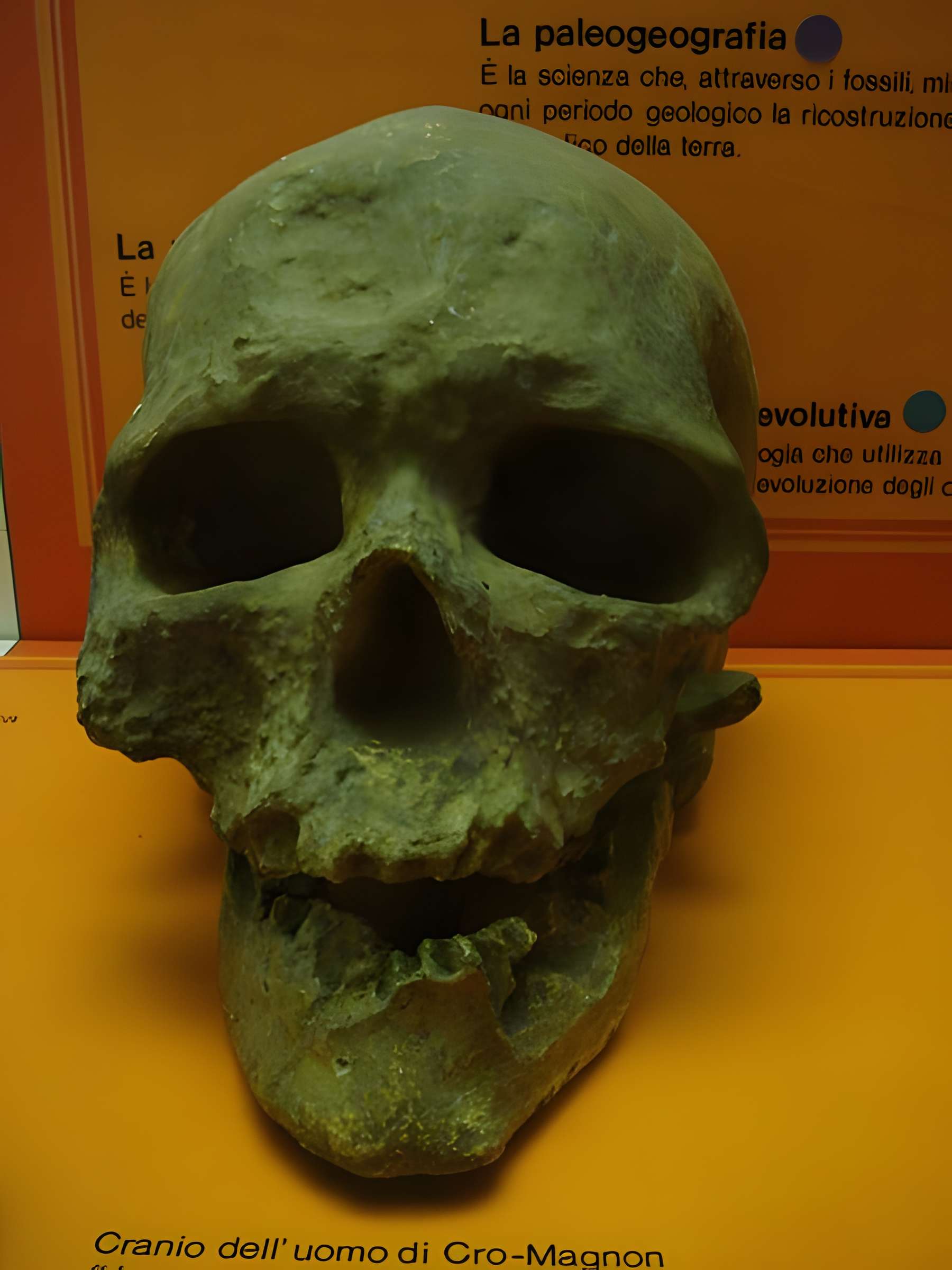 Abri de Cro-Magnon aux Eyzies-de-Tayac-Sireuil