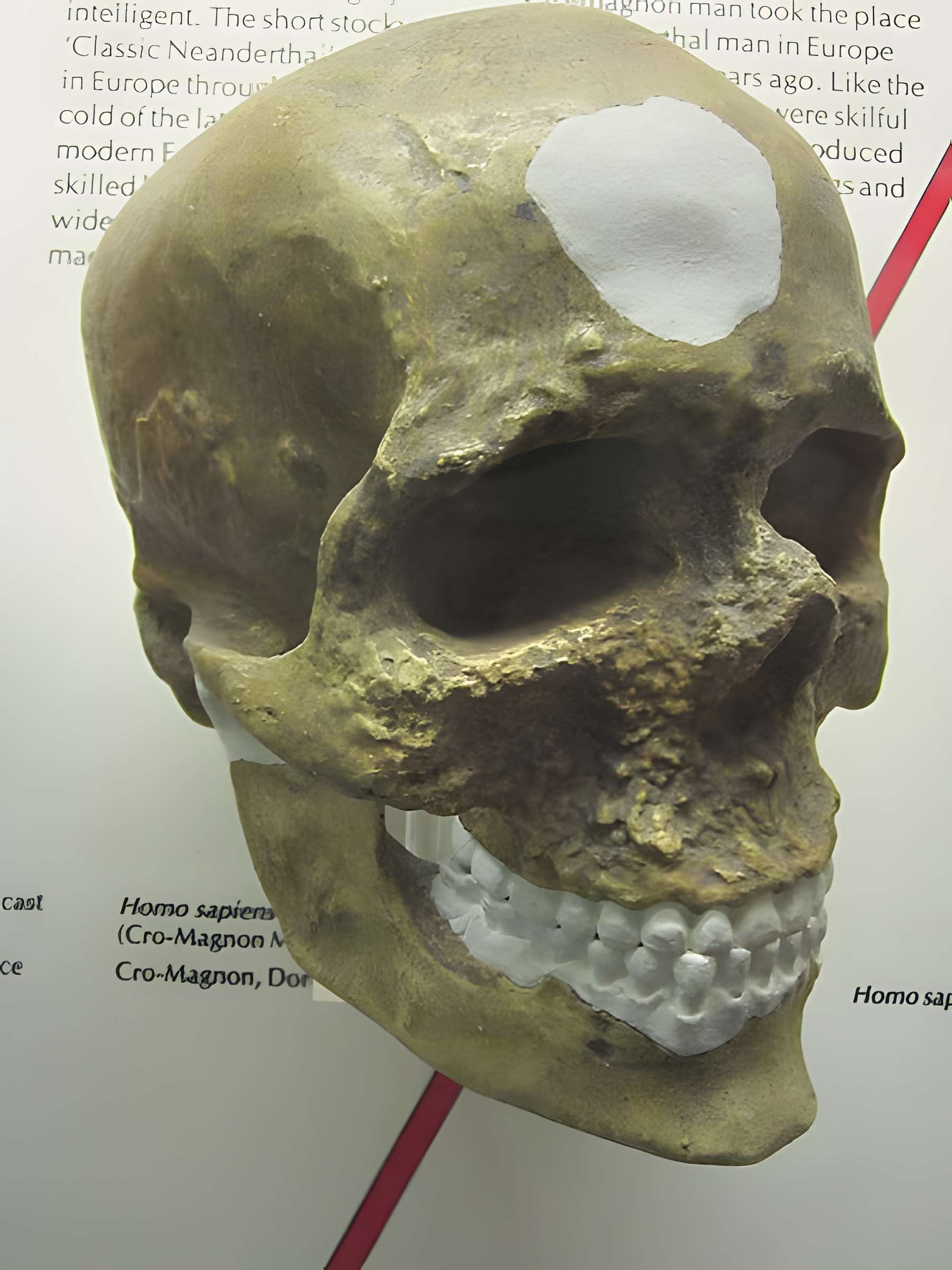 Abri de Cro-Magnon aux Eyzies-de-Tayac-Sireuil