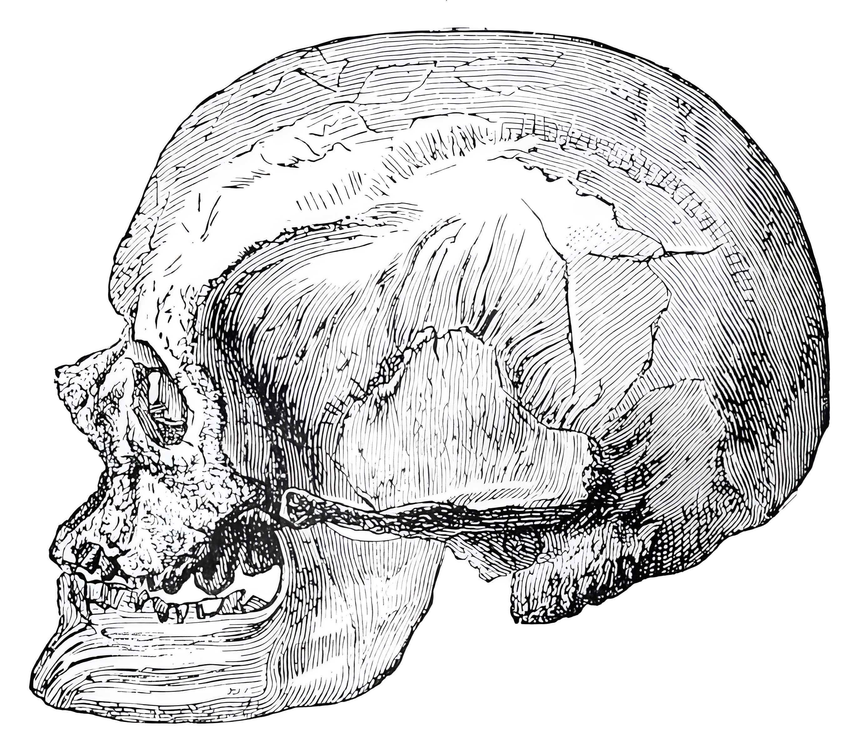 Abri de Cro-Magnon aux Eyzies-de-Tayac-Sireuil