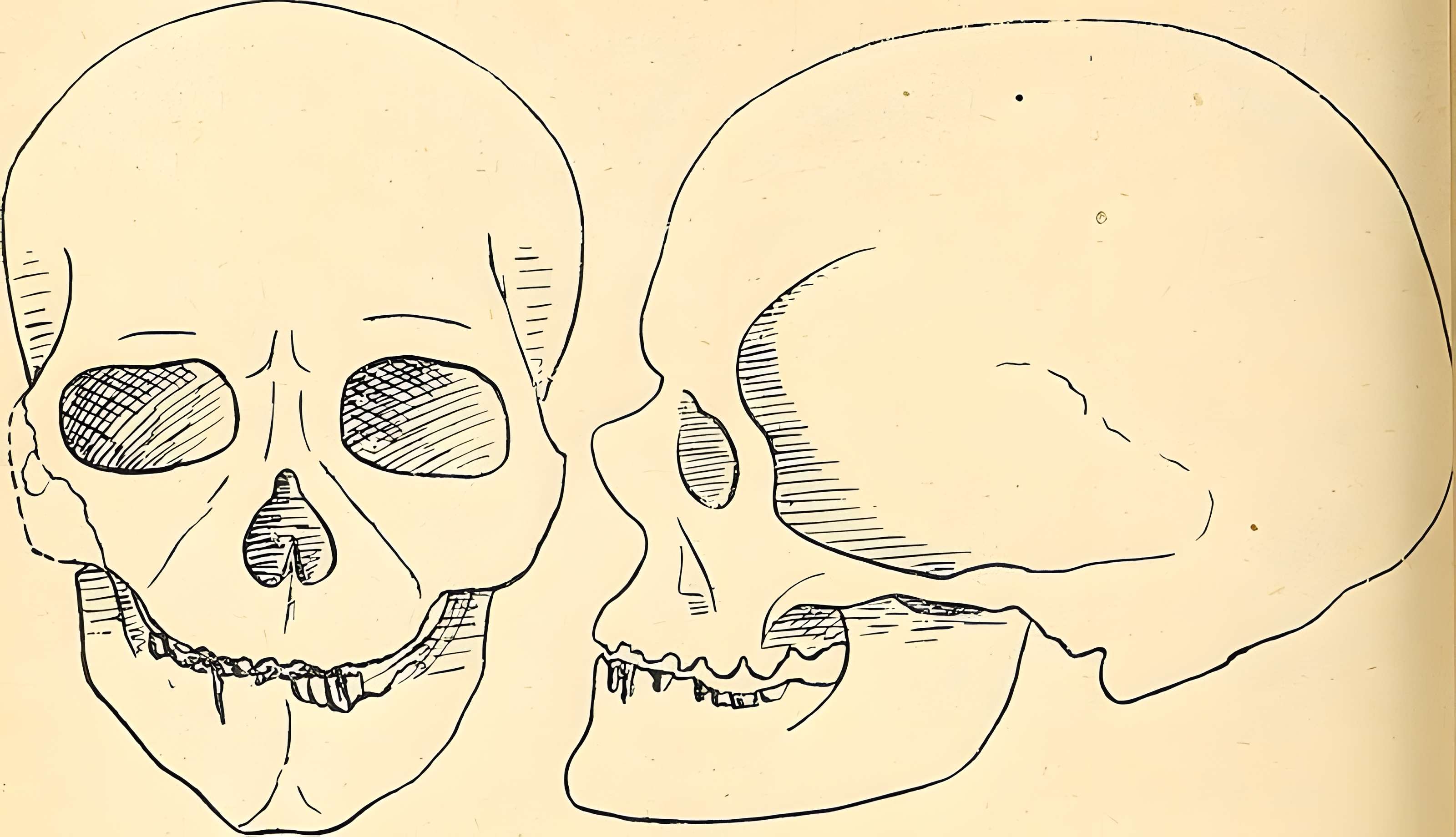 Abri de Cro-Magnon aux Eyzies-de-Tayac-Sireuil