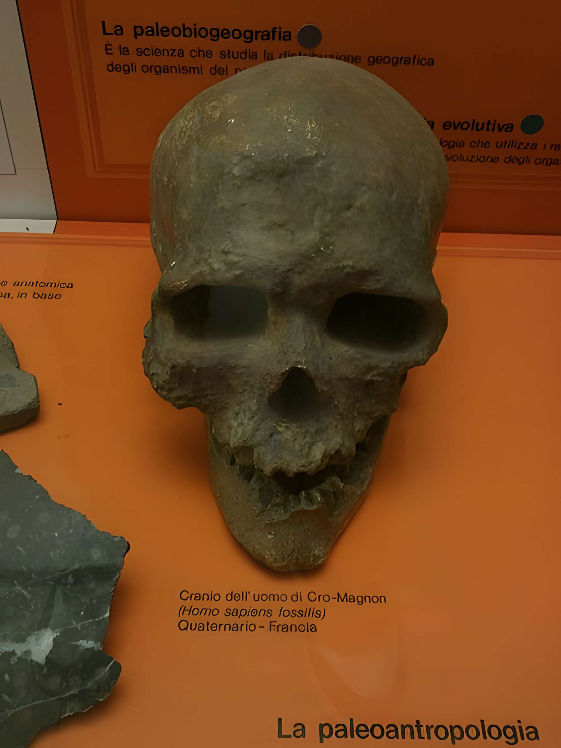 Abri de Cro-Magnon aux Eyzies-de-Tayac-Sireuil