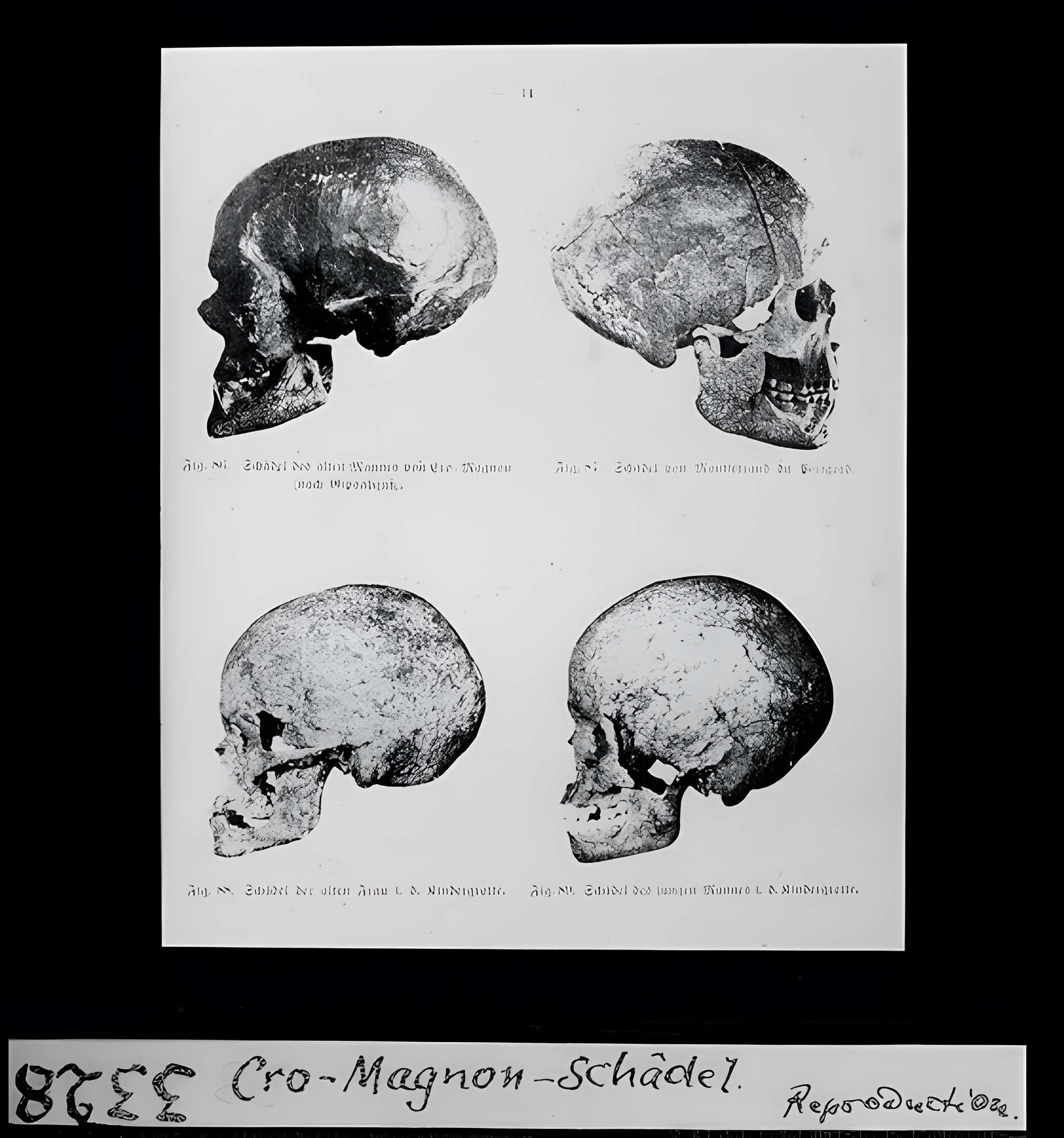 Abri de Cro-Magnon aux Eyzies-de-Tayac-Sireuil