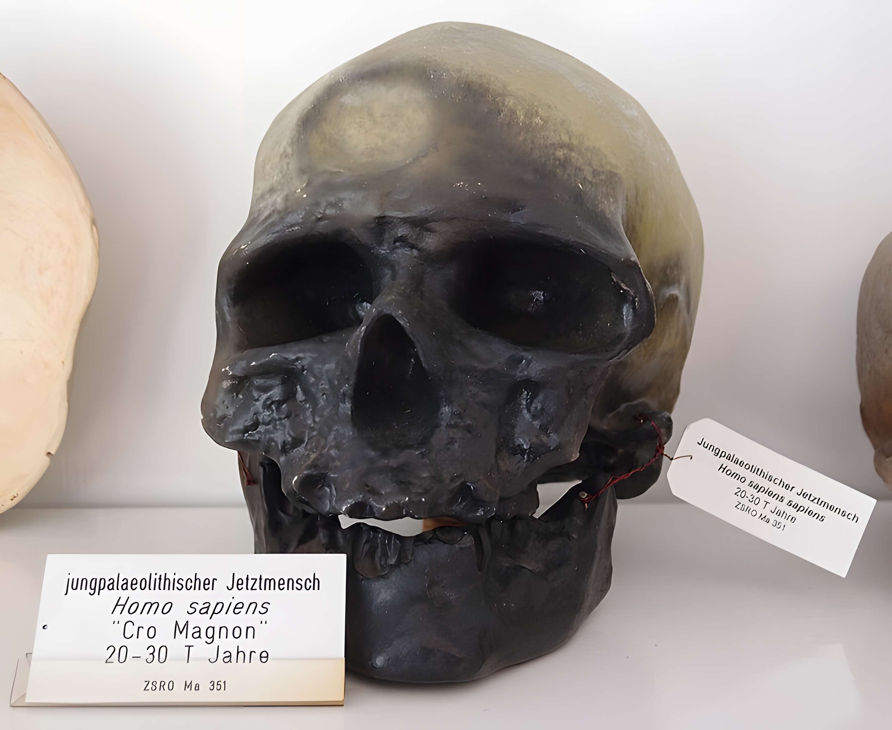 Abri de Cro-Magnon aux Eyzies-de-Tayac-Sireuil