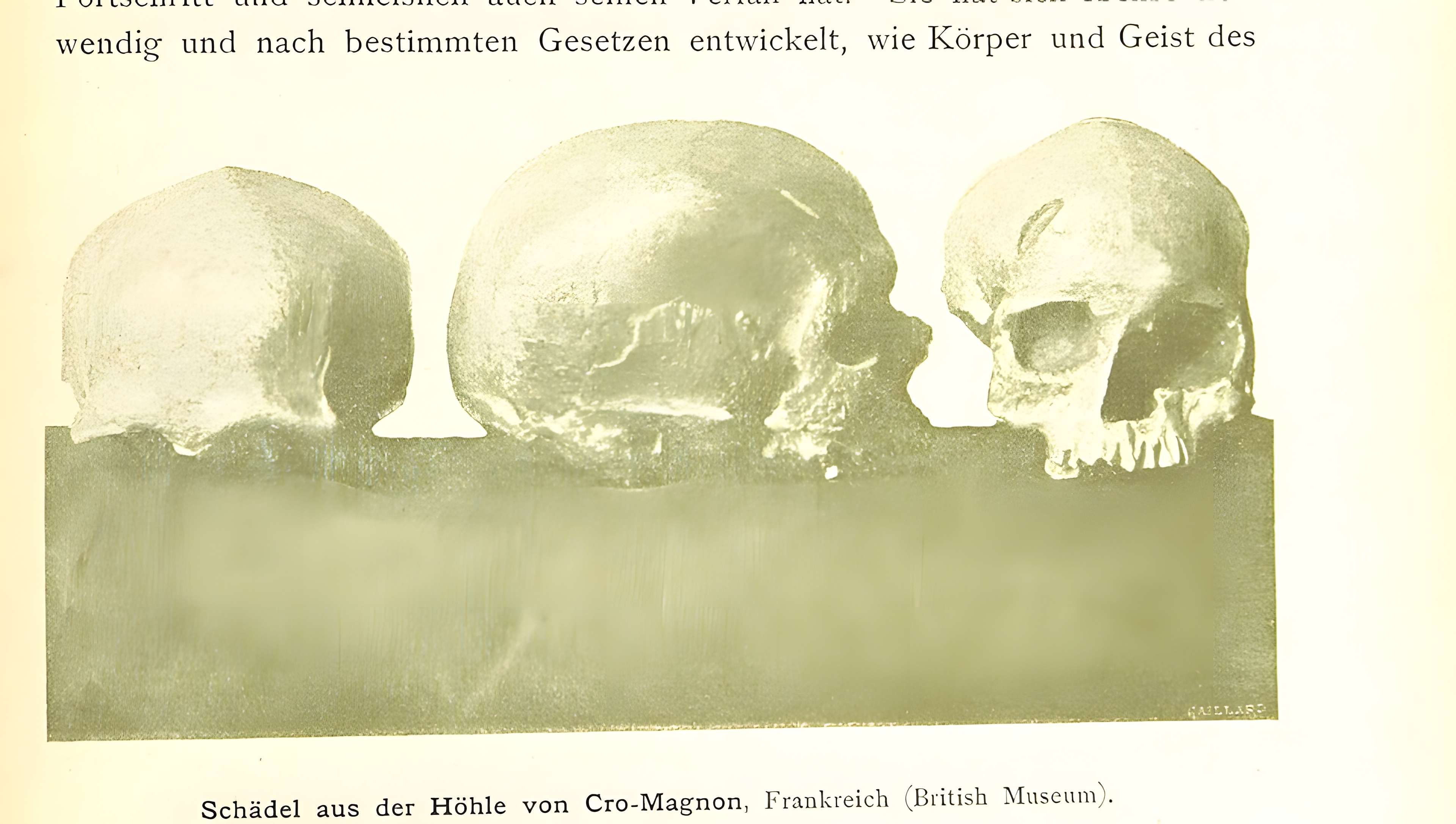 Abri de Cro-Magnon aux Eyzies-de-Tayac-Sireuil