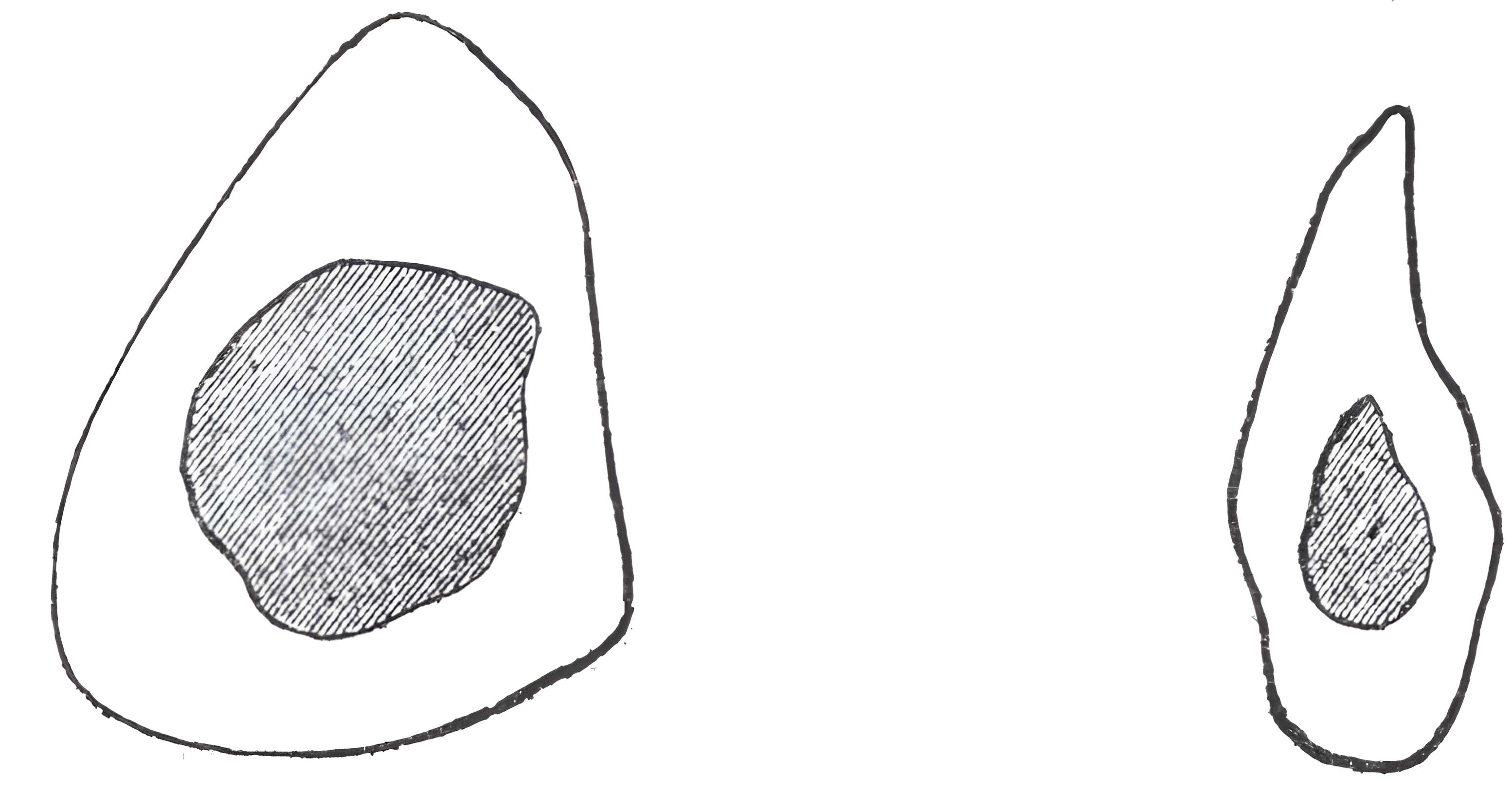 Abri de Cro-Magnon aux Eyzies-de-Tayac-Sireuil