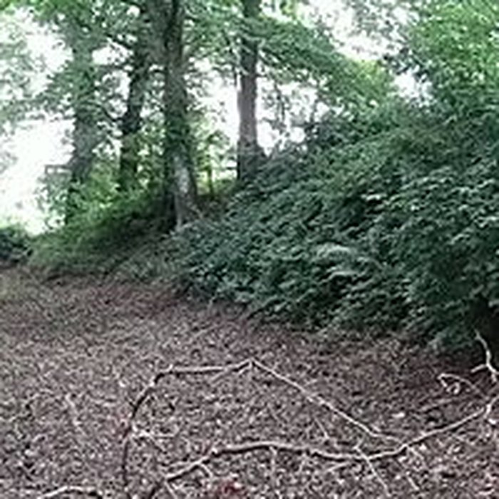 Photo de Camp des Rouëts à Mohon