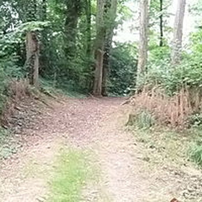 Photo de Camp des Rouëts à Mohon