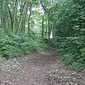 Camp des Rouëts à Mohon