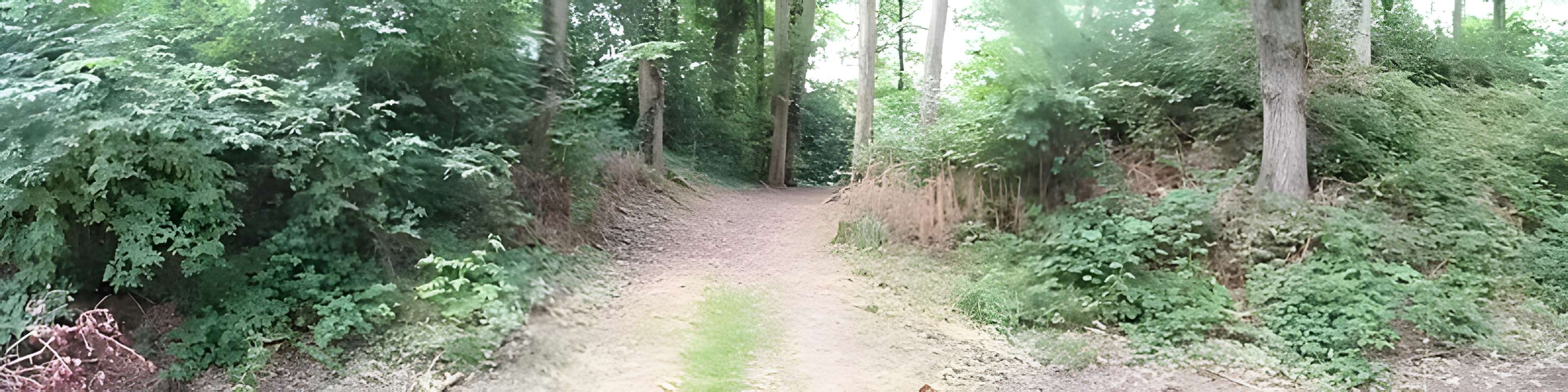 Camp des Rouëts à Mohon