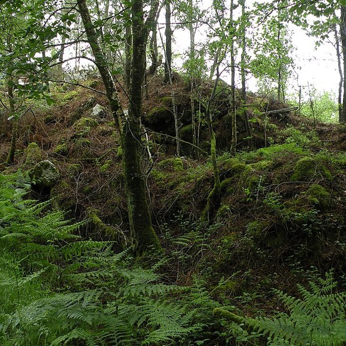Photo de Camp protohistorique du Castel-Finans à Saint-Aignan