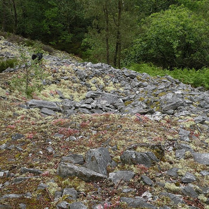 Photo de Camp protohistorique du Castel-Finans à Saint-Aignan