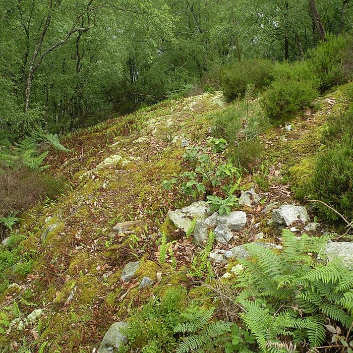 Photo de Camp protohistorique du Castel-Finans à Saint-Aignan