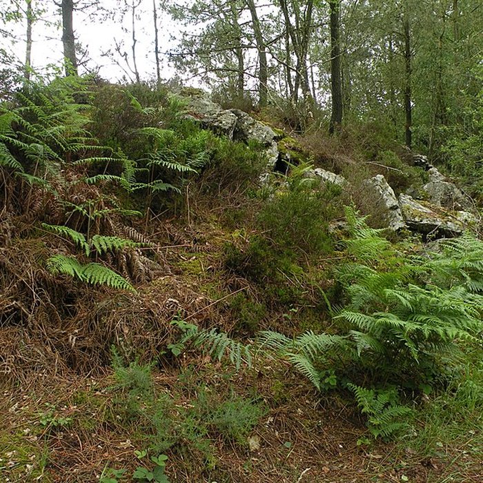Photo de Camp protohistorique du Castel-Finans à Saint-Aignan