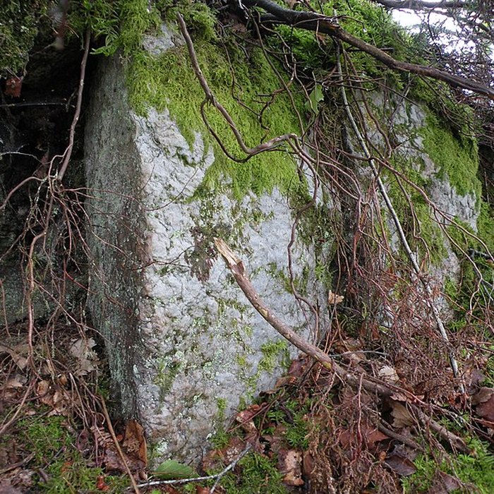 Photo de Camp protohistorique du Castel-Finans à Saint-Aignan