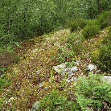 Camp protohistorique du Castel-Finans à Saint-Aignan