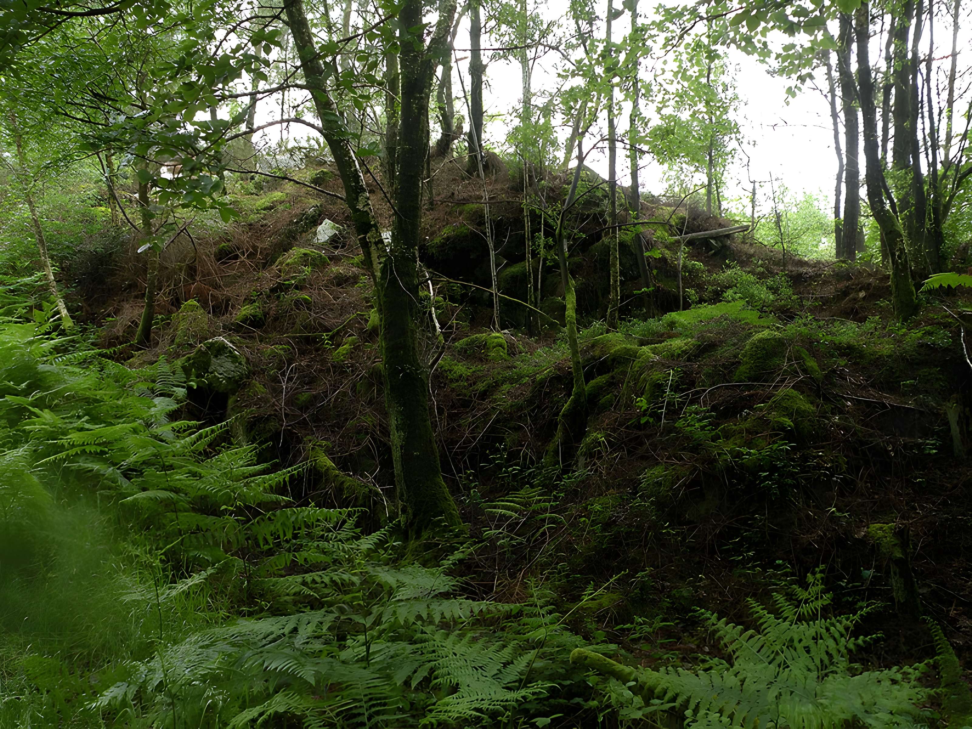 Camp protohistorique du Castel-Finans à Saint-Aignan