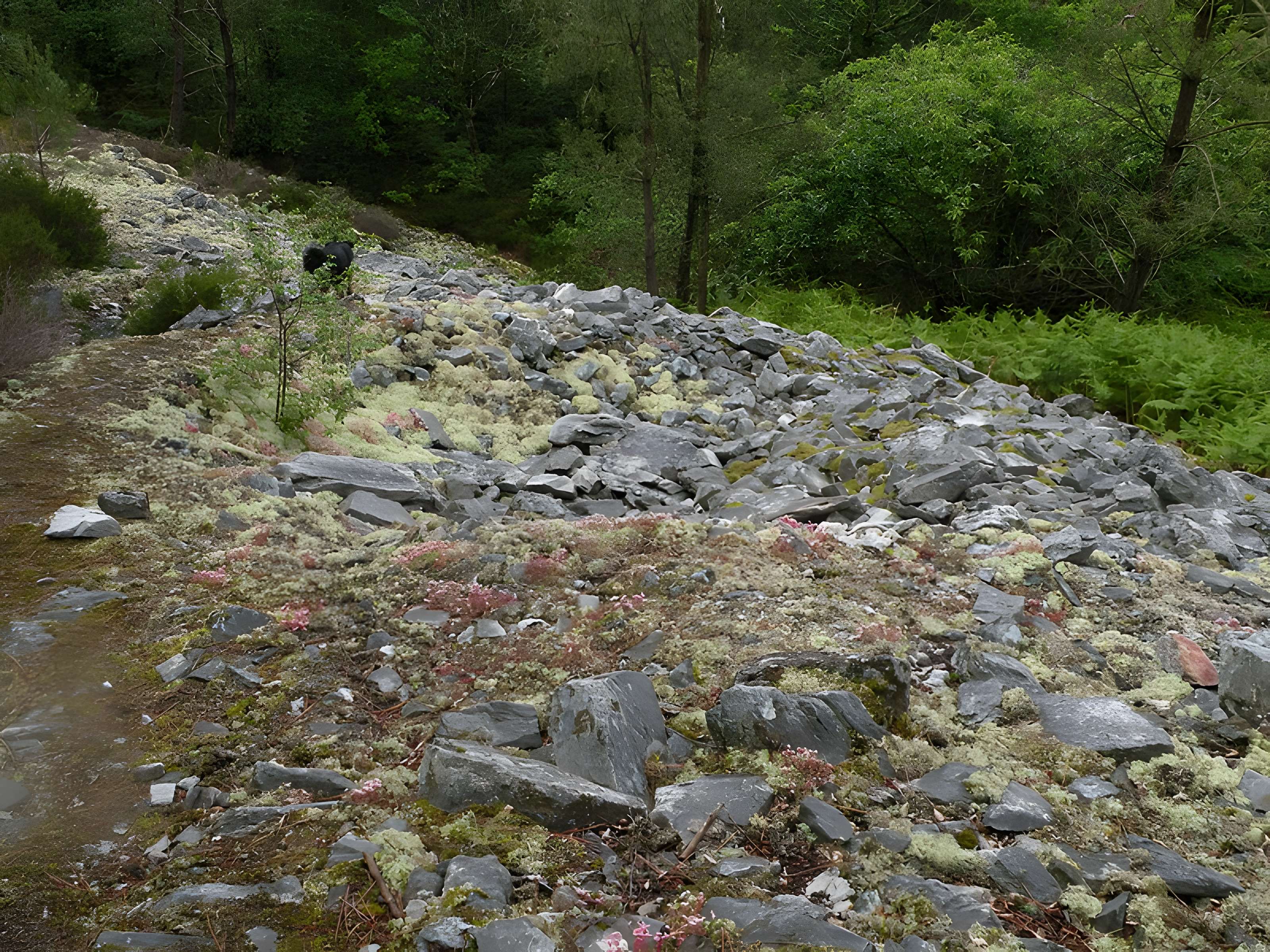 Camp protohistorique du Castel-Finans à Saint-Aignan