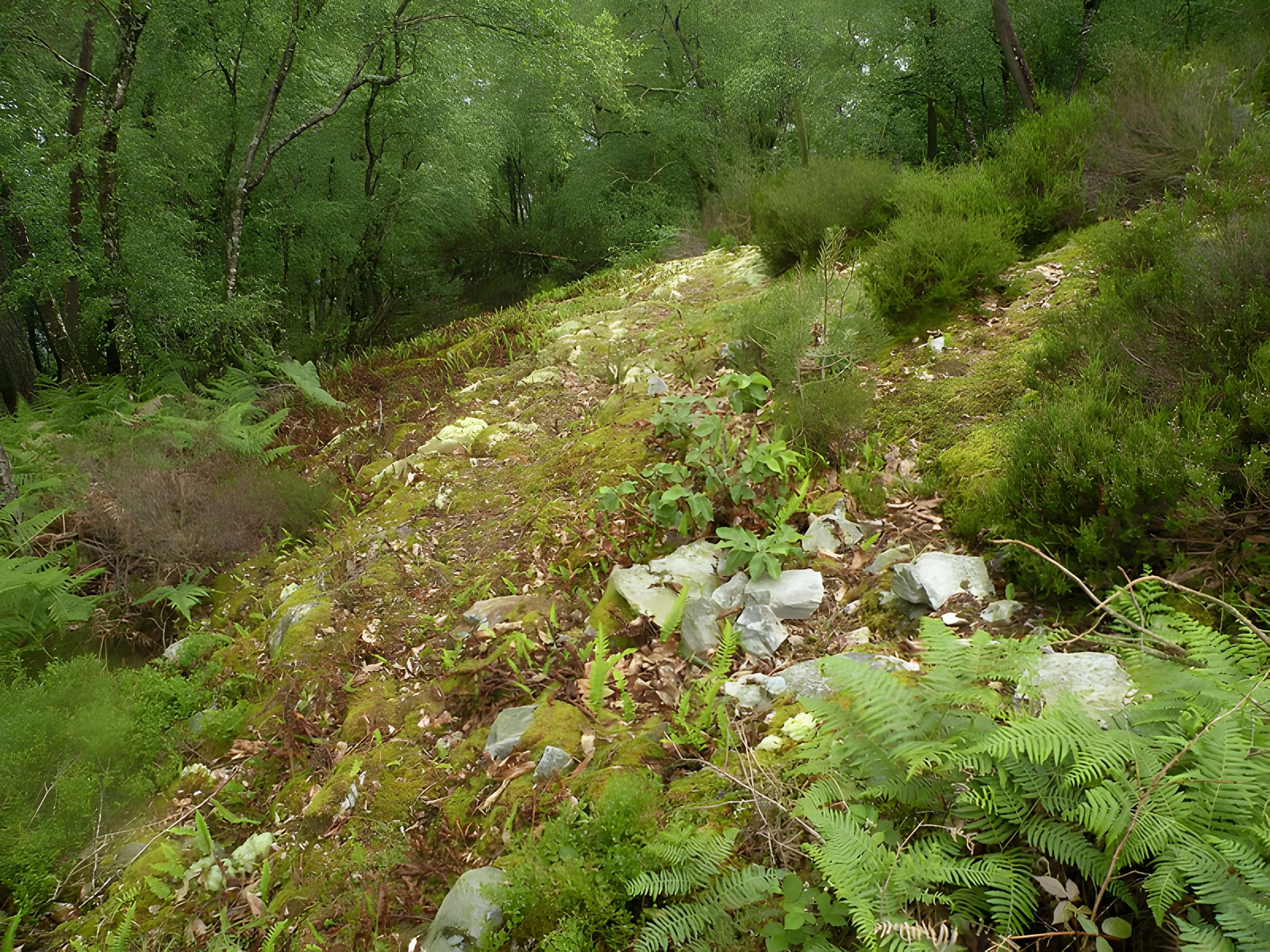 Camp protohistorique du Castel-Finans à Saint-Aignan