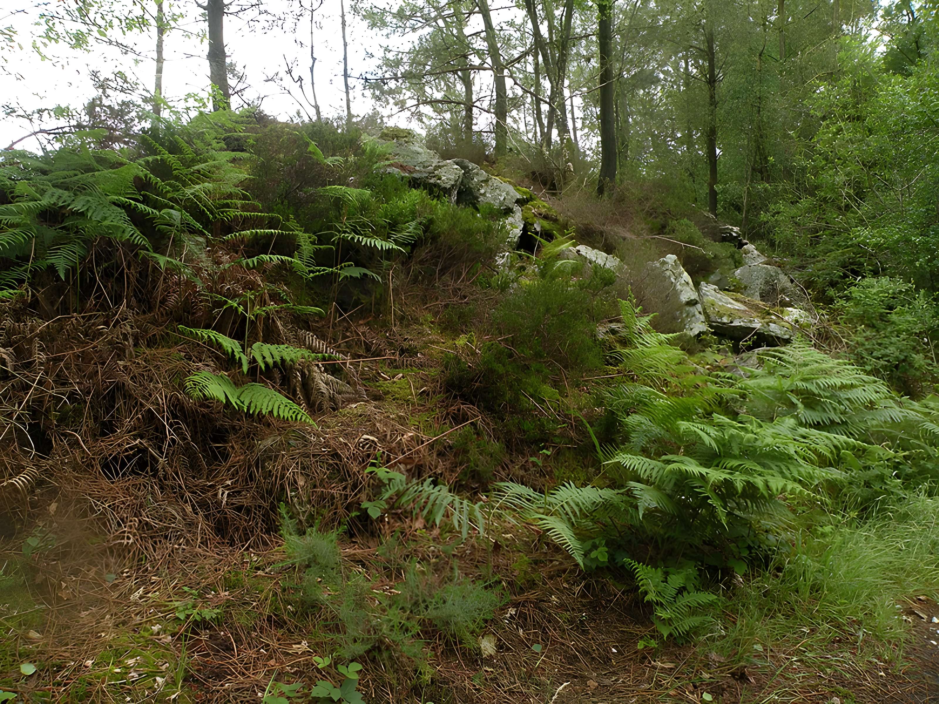 Camp protohistorique du Castel-Finans à Saint-Aignan