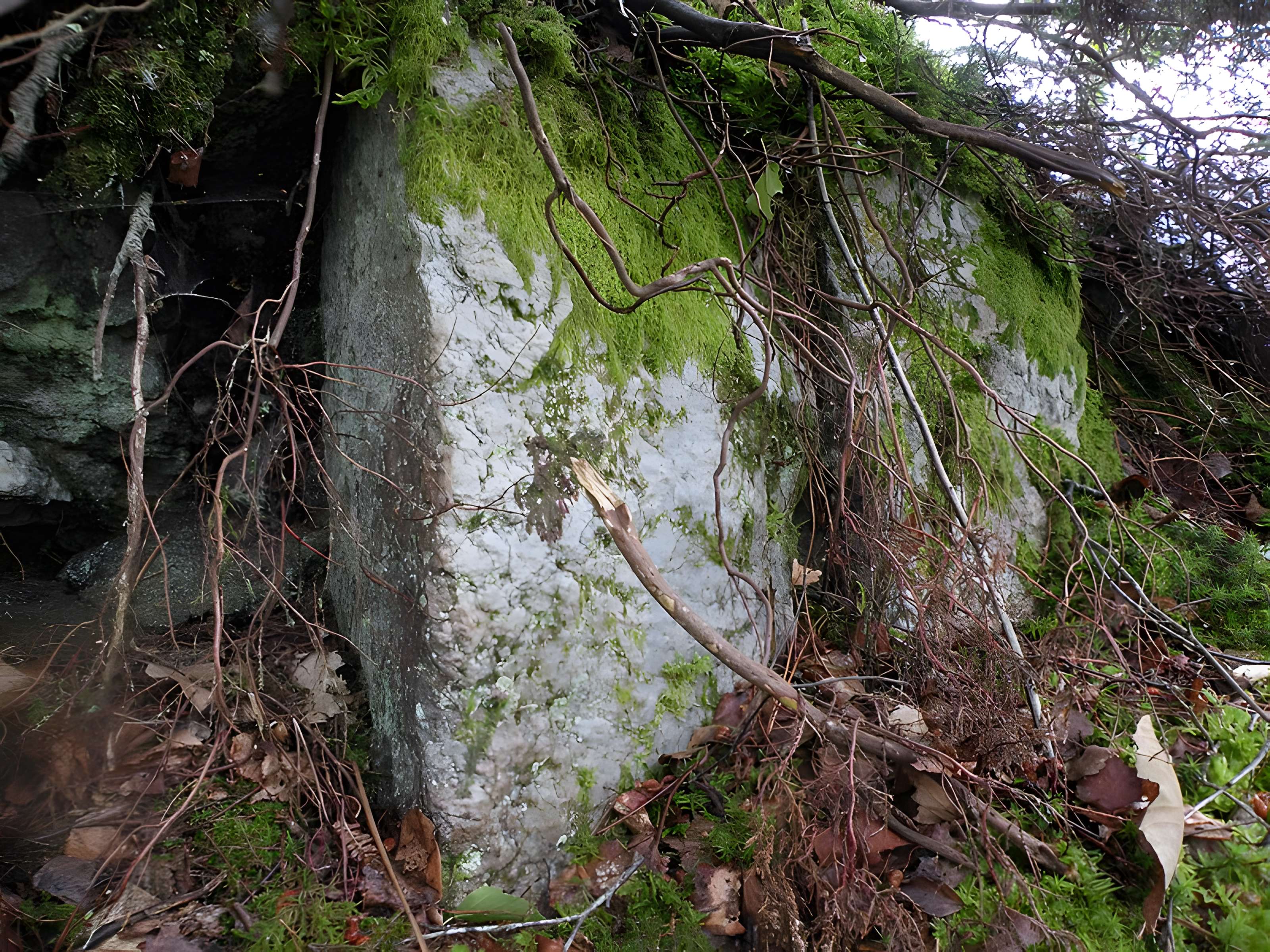 Camp protohistorique du Castel-Finans à Saint-Aignan