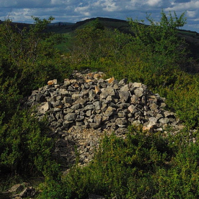 Photo de Camp retranché à éperon barré de Bussières