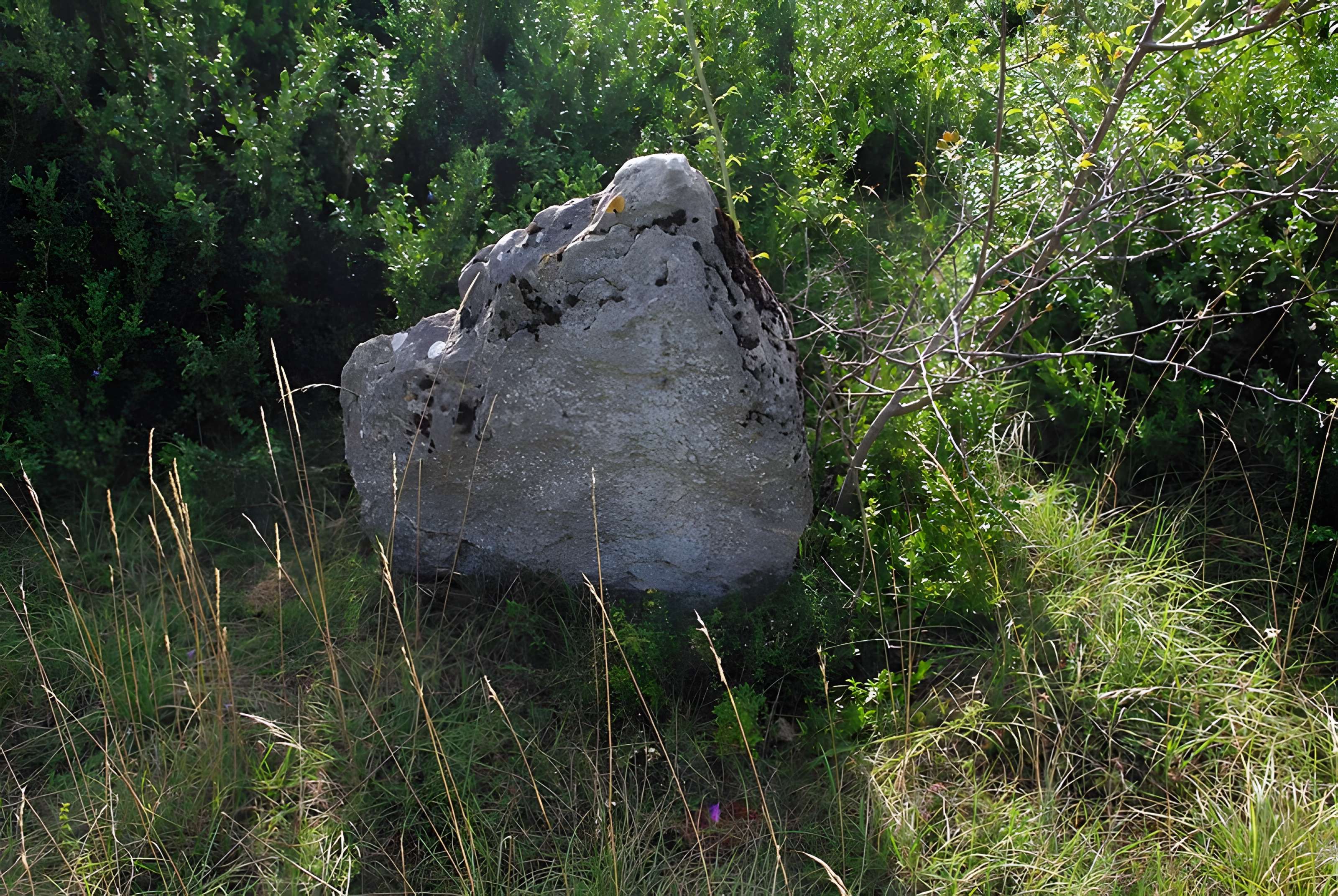 Camp retranché à éperon barré de Bussières