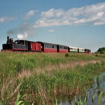 Camp romain de Liercourt-Érondelle