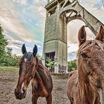 Carreau Cuvelette de Freyming-Merlebach