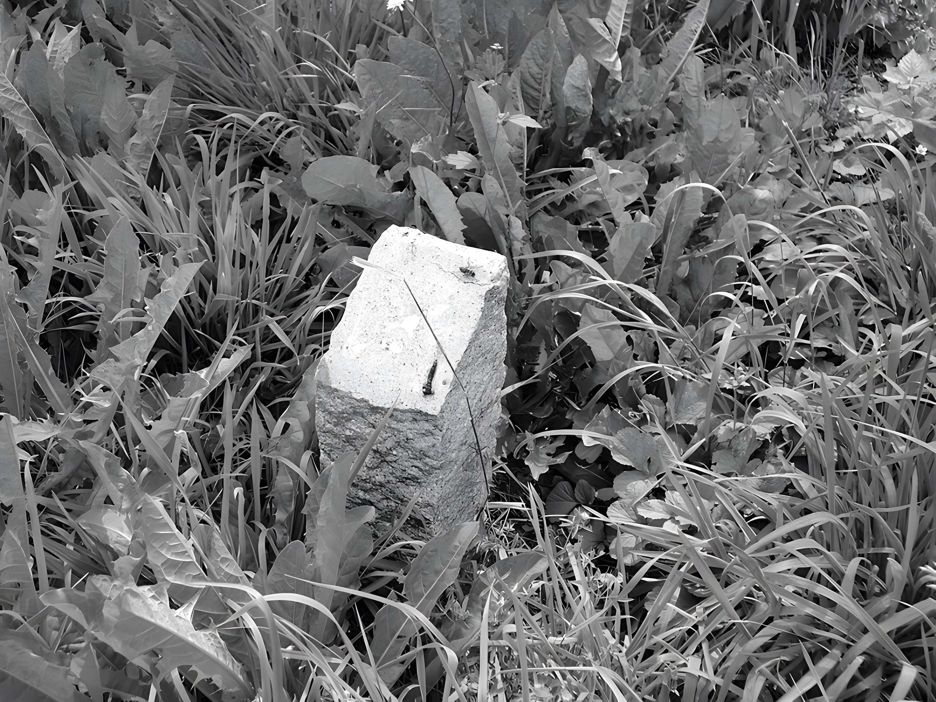 Carreau du Siège Simon I et II à Forbach