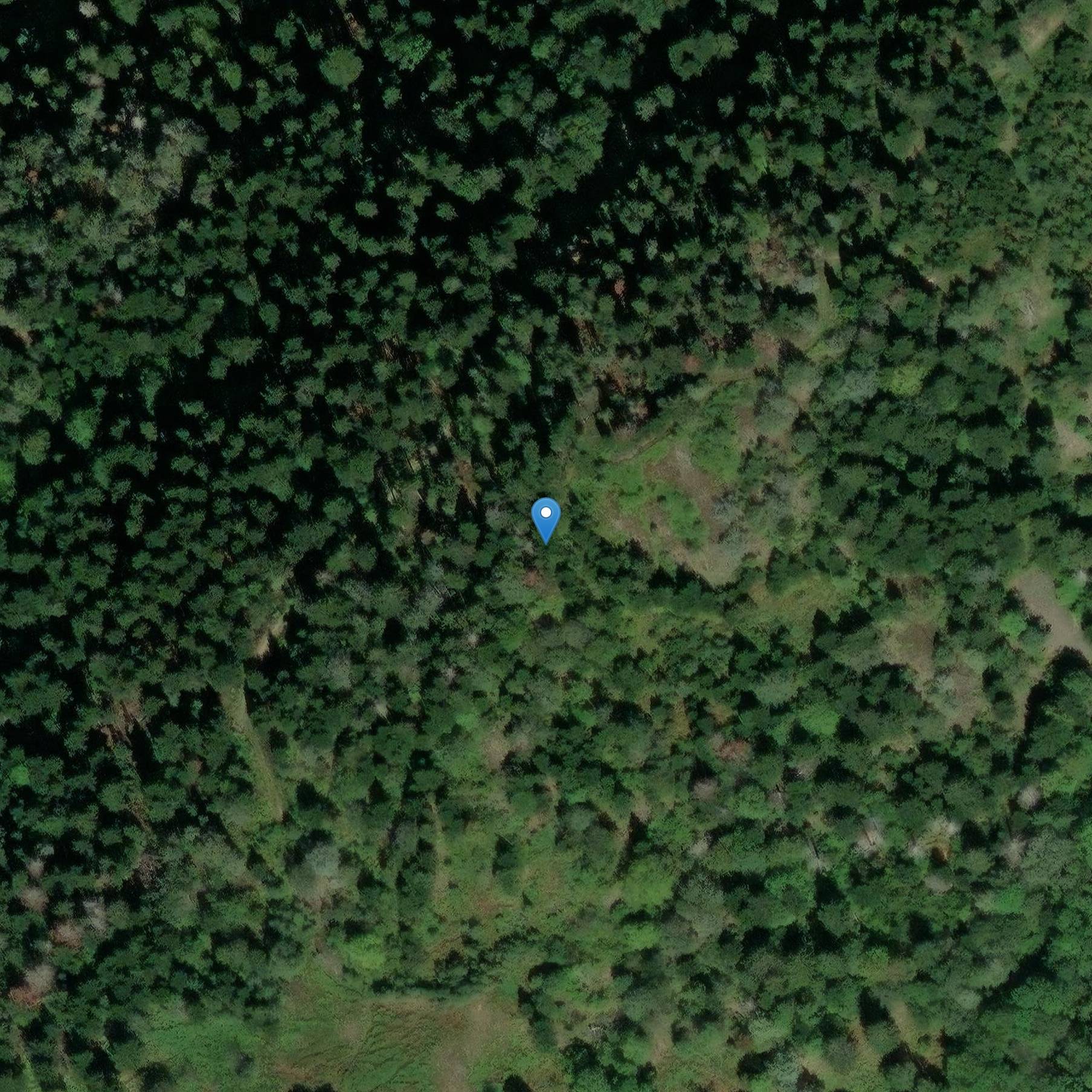 Photo de Flooring the Mine Career