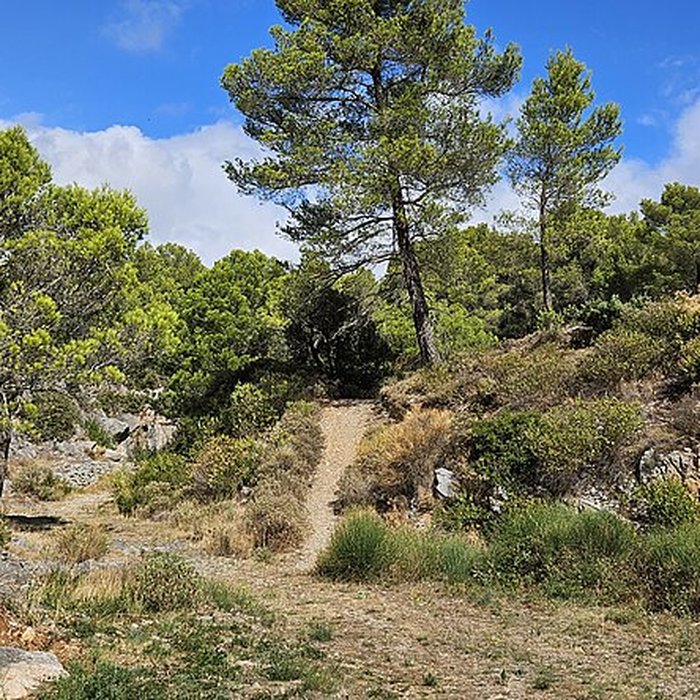 Photo de Carrière du Roi de Caunes-Minervois