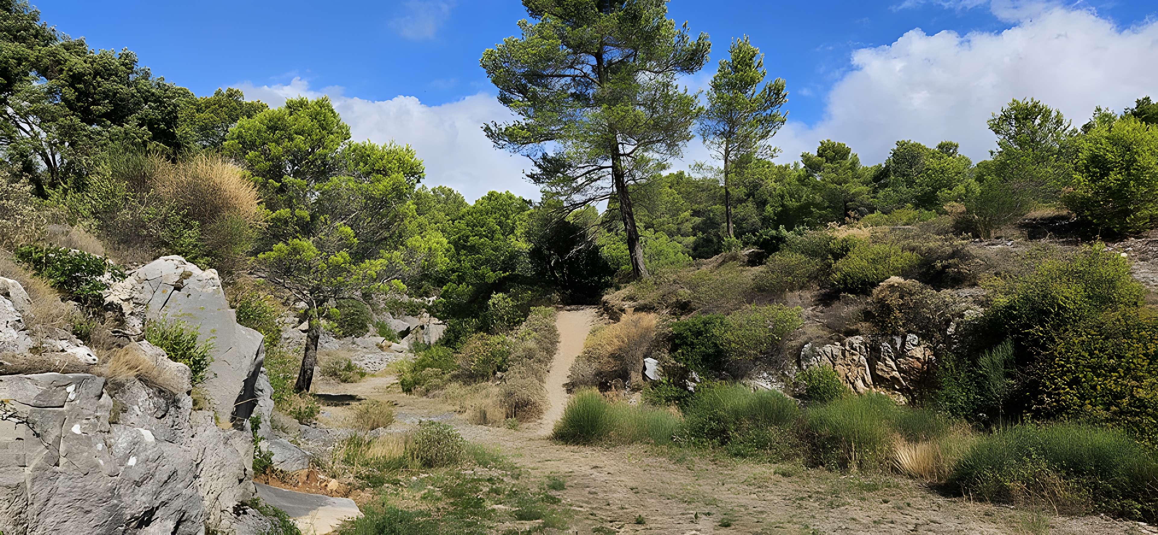 Carrière du Roi de Caunes-Minervois