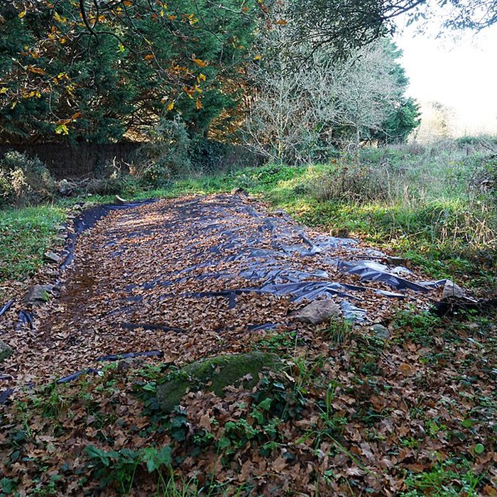 Photo de Cartes du Diable de Piriac-sur-Mer