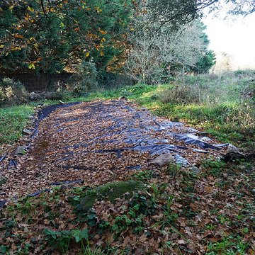 Cartes du Diable de Piriac-sur-Mer