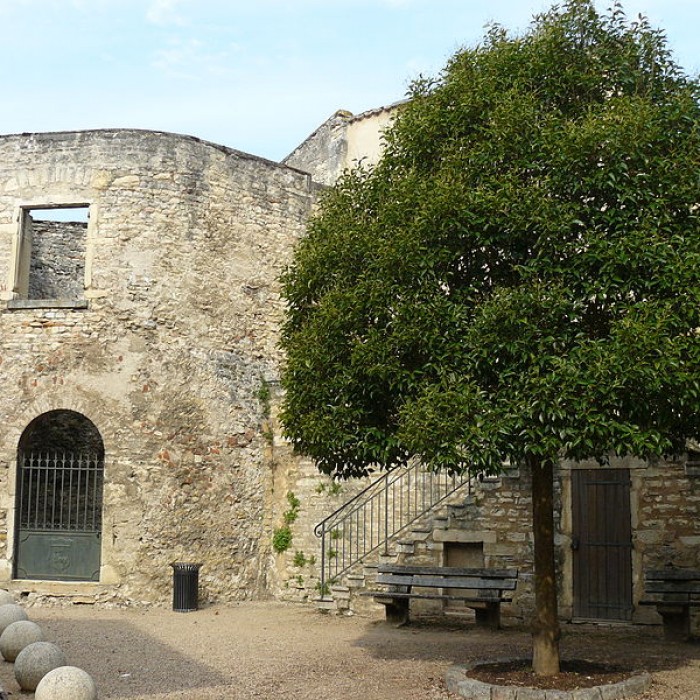 Photo de Castellum romain dAnse