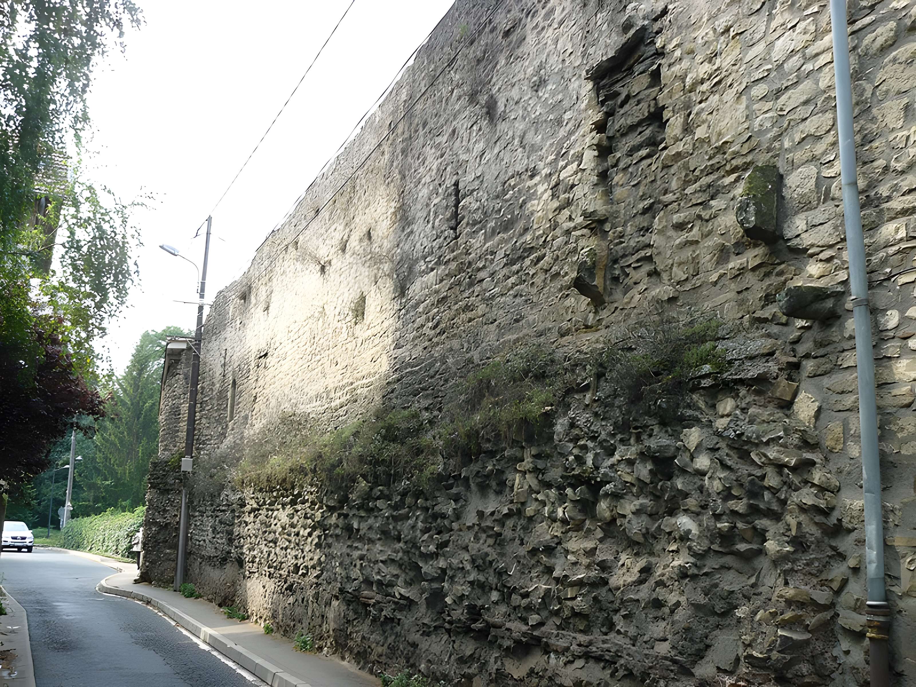 Castellum romain d'Anse