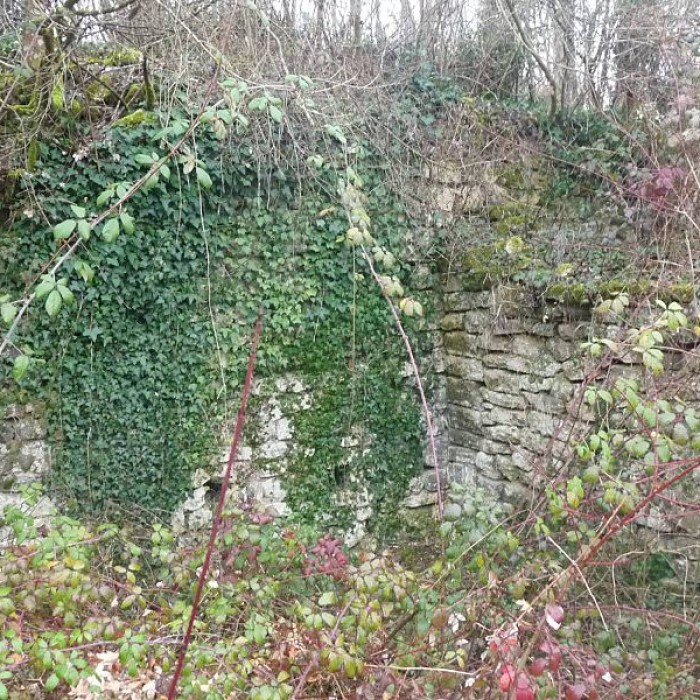 Photo de Castrum dAndone à Villejoubert