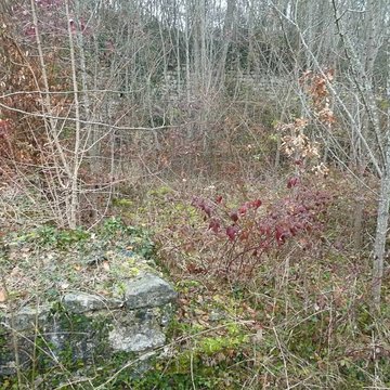 Castrum dAndone à Villejoubert