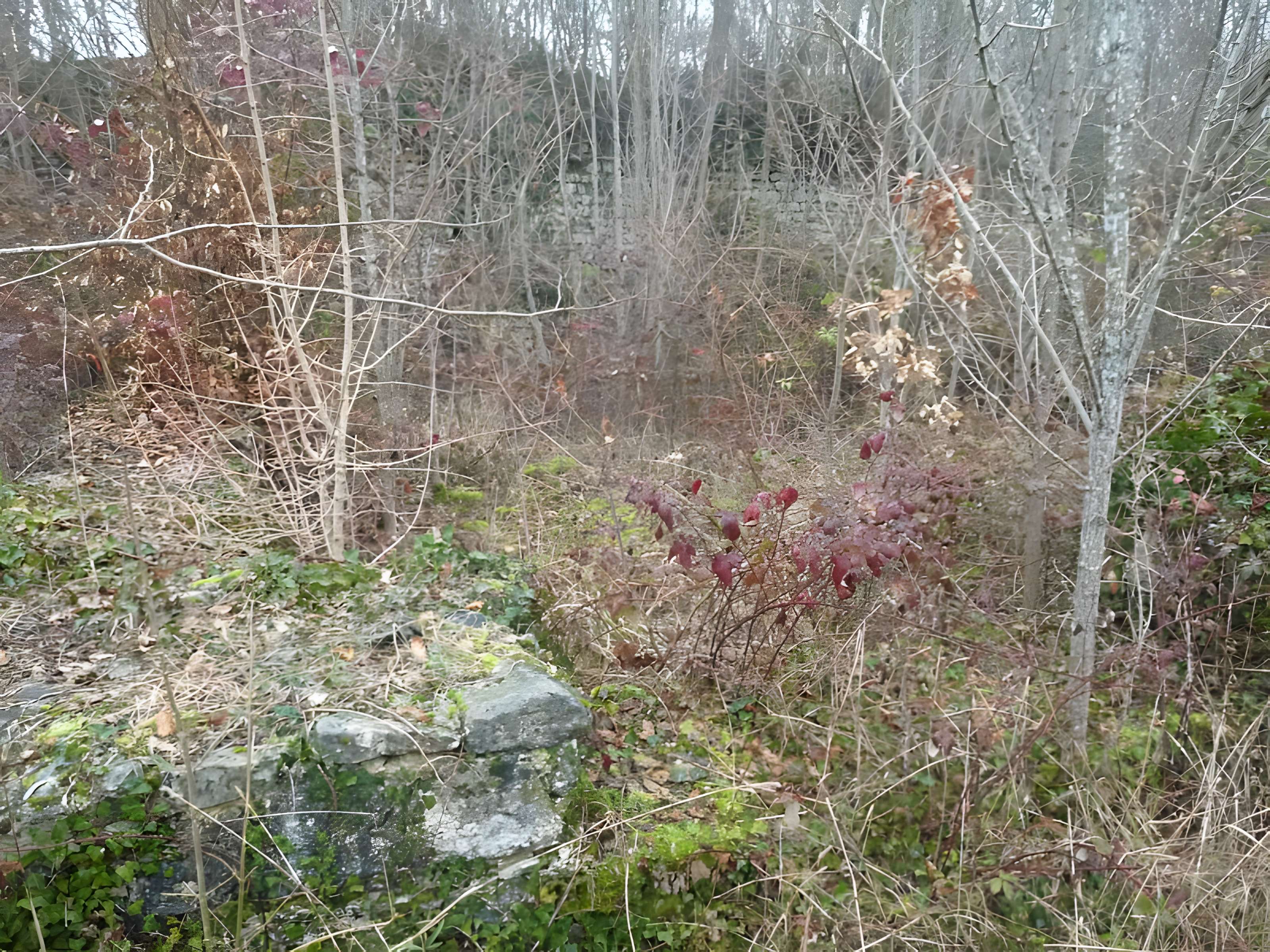 Castrum d'Andone à Villejoubert