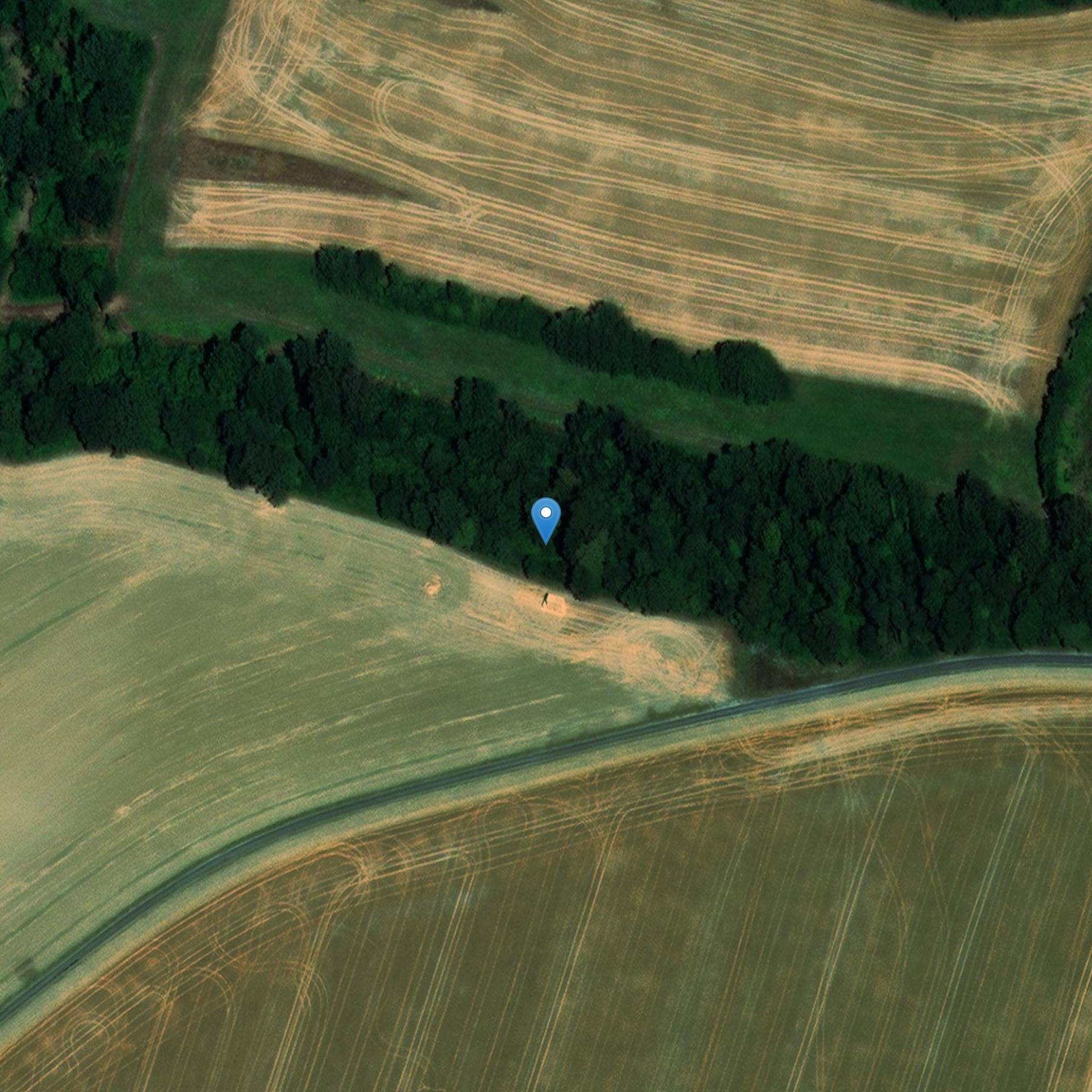 Photo de Catacombes de Champlieu à Orrouy
