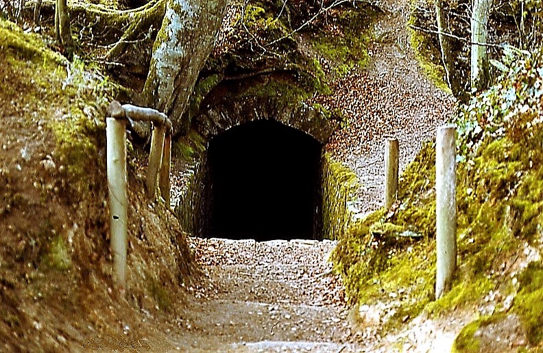 Celliers de Landéan