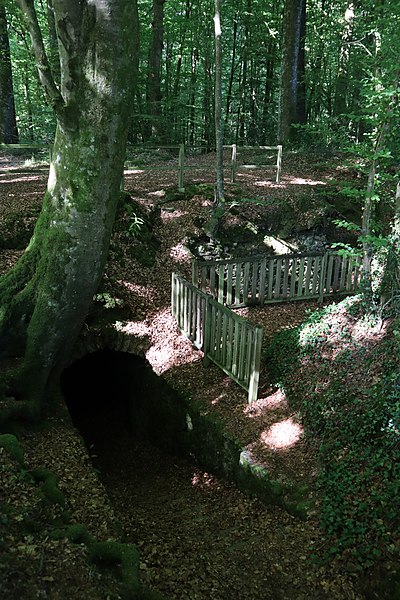 Celliers de Landéan