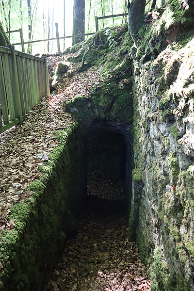 Celliers de Landéan