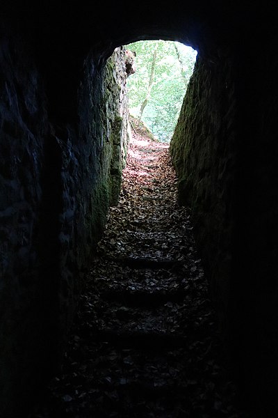 Celliers de Landéan