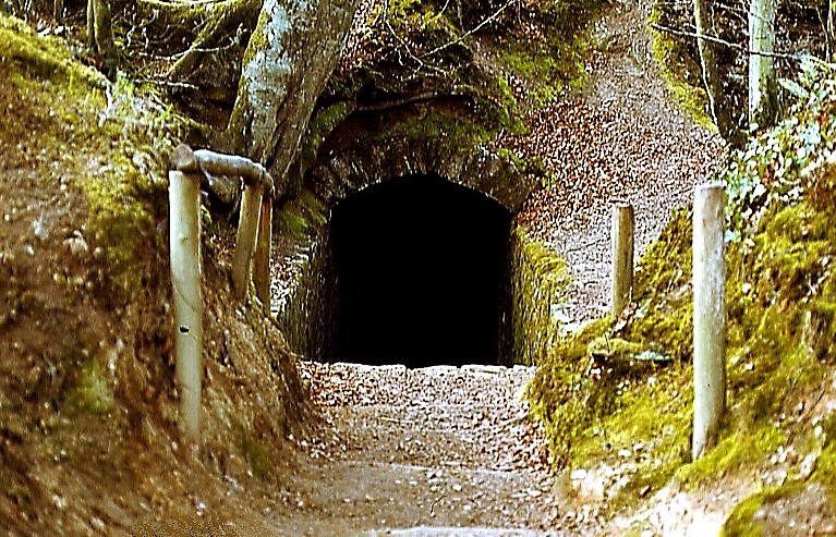 Celliers de Landéan