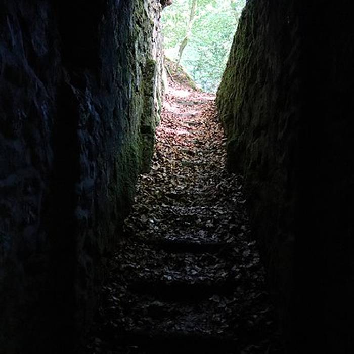 Photo de Celliers de Landéan