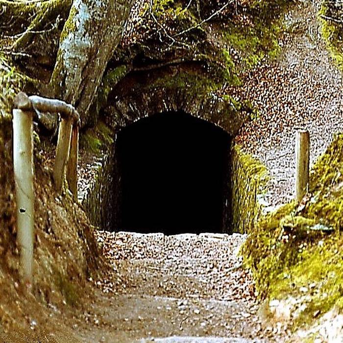 Photo de Celliers de Landéan