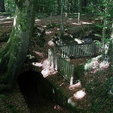 Celliers de Landéan