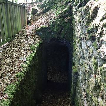 Celliers de Landéan