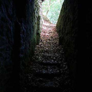 Celliers de Landéan